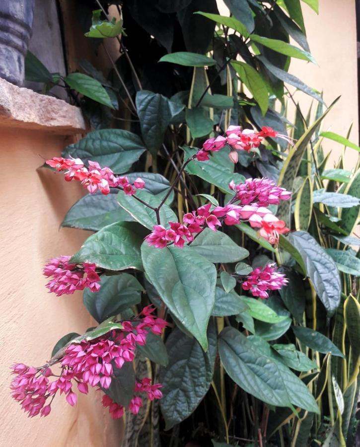 Recanto Villa Sao Joao 파우메이라스 외부 사진